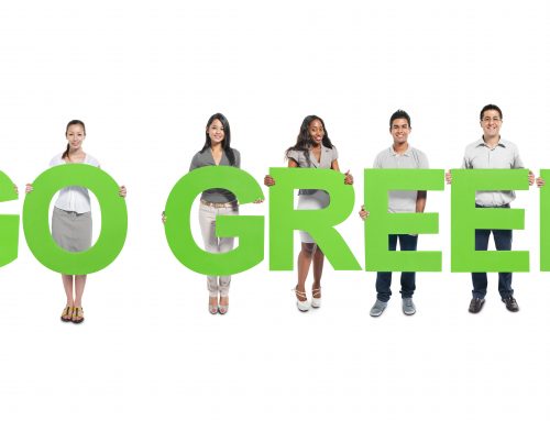 Go Green: Rent Instead of Buy for Parties and Events